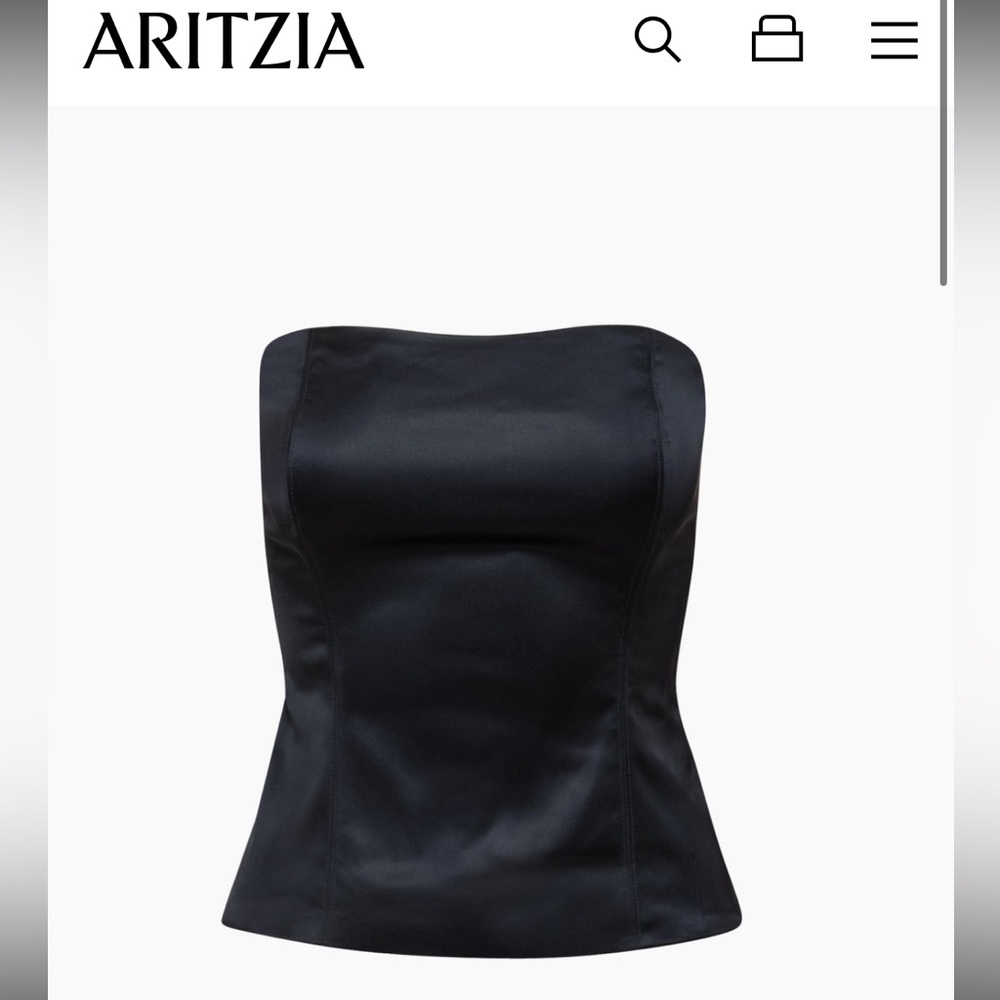 Aritzia Ten by Babaton Visha satin bustier NWT